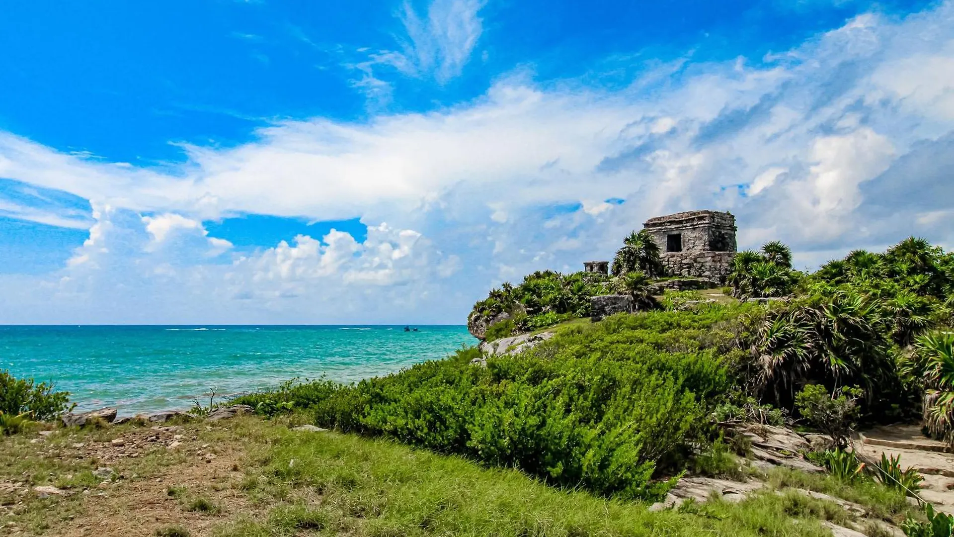 Amelia 104 Studio Hotel Tulum